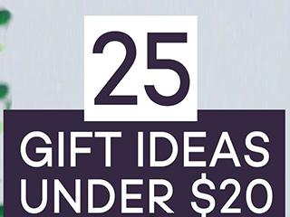 25 Gifts under $20